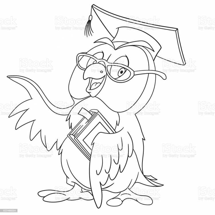 Умная Сова раскраска