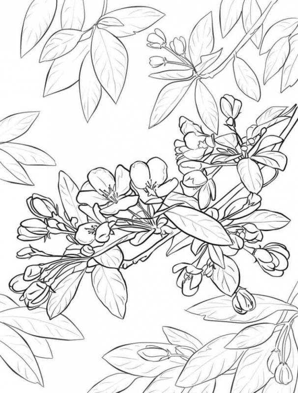 Весенние картинки для раскрашивания