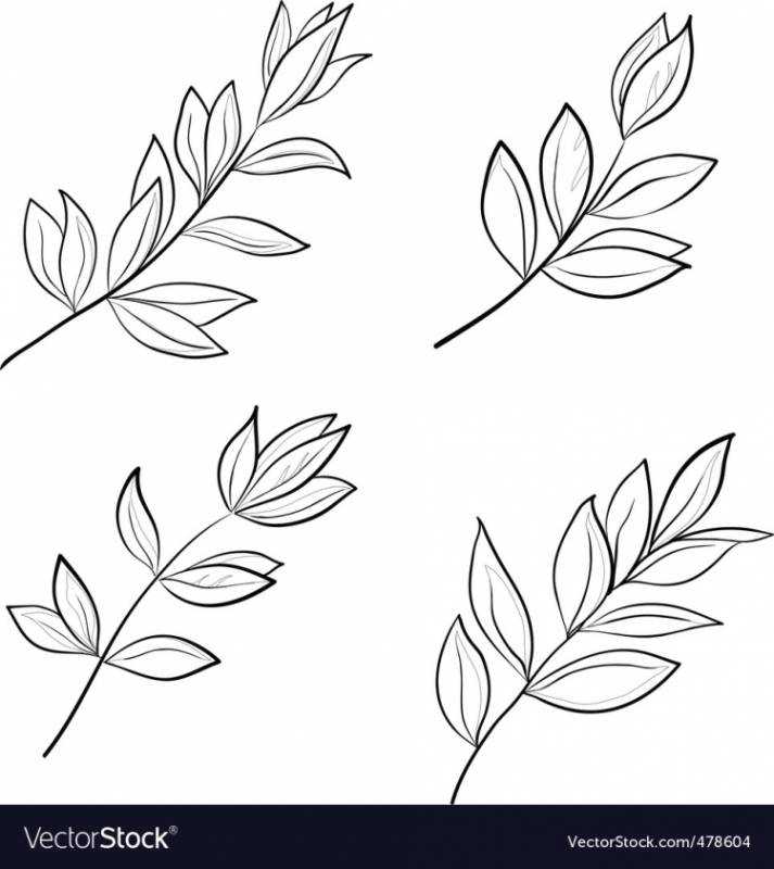 Веточка с листочками раскраска