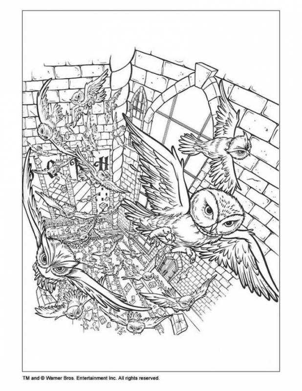 Раскраска Гарри Гермионы и Рона