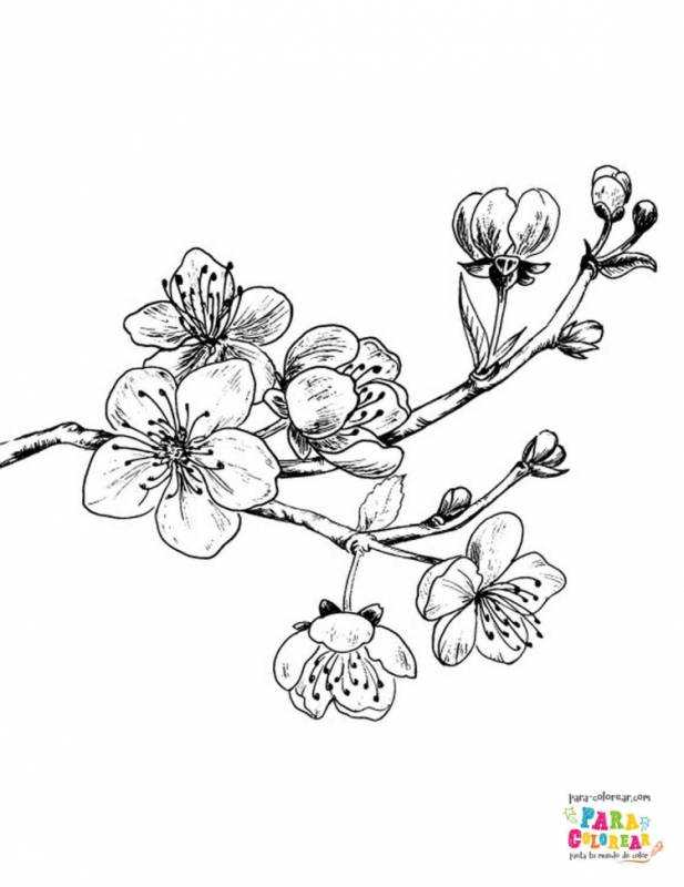 Мелкие цветы эскиз