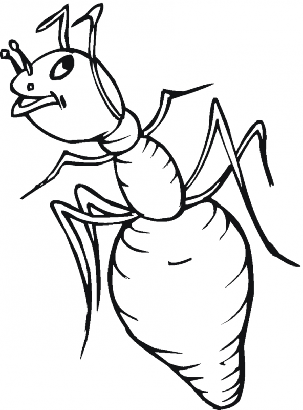 Муравей раскраска