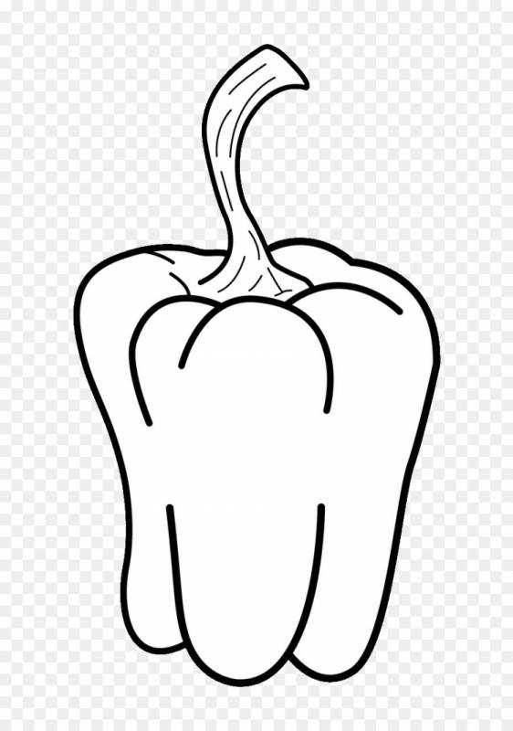 Овощи раскраска для детей