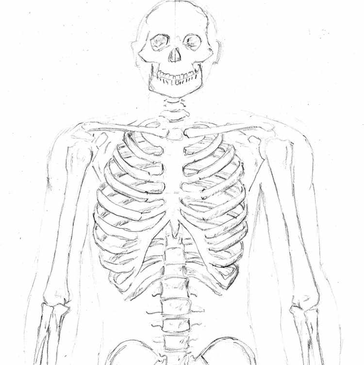 Мистер скелет