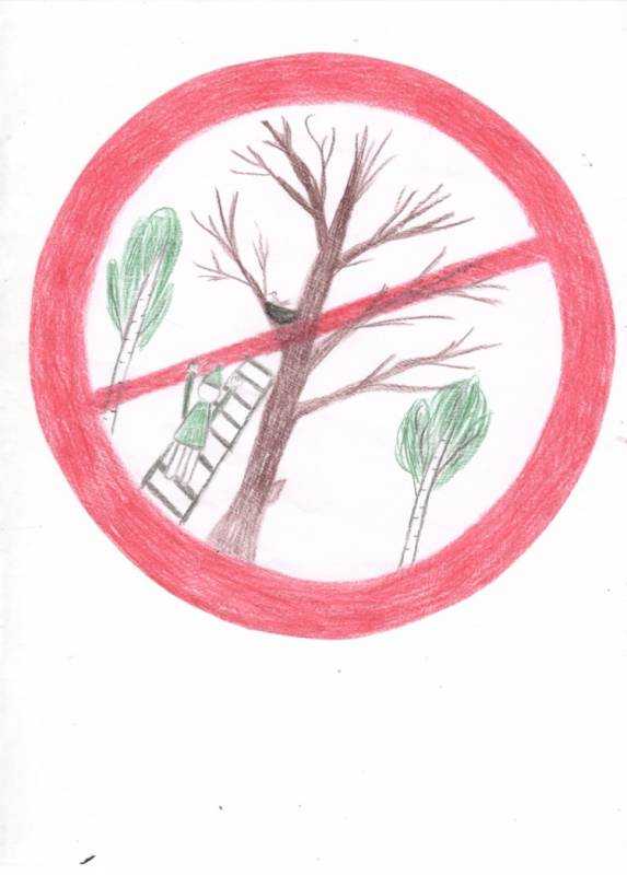 Плакат берегите растения