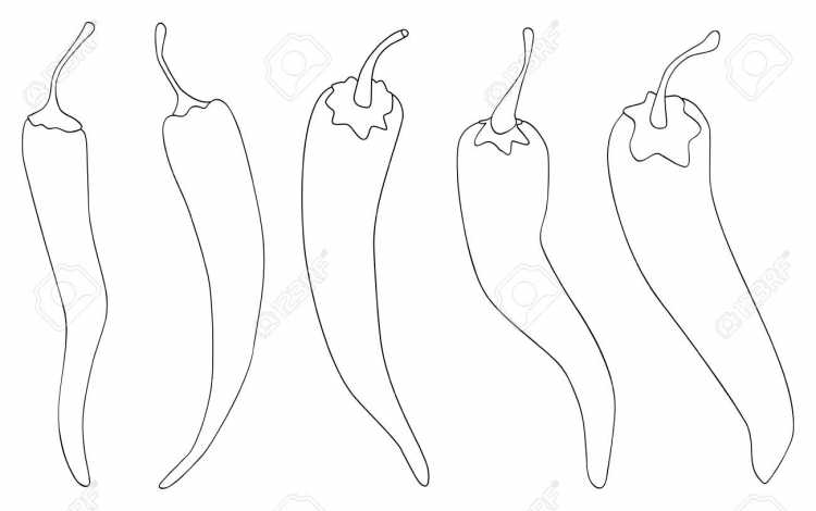Картинки овощей для срисовки