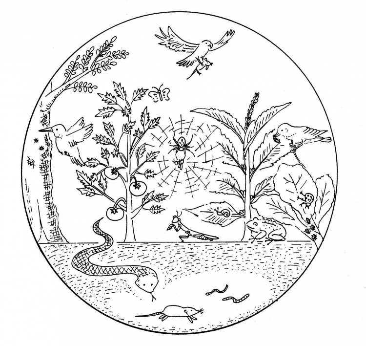 Мир раскраска для детей