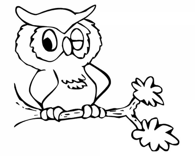 Сова раскраска
