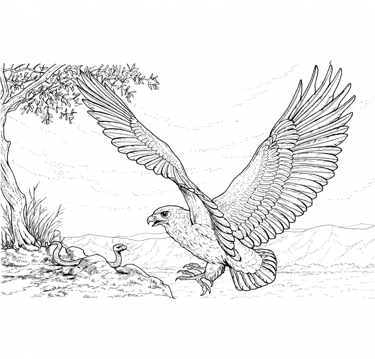 Финист Ясный Сокол фильс