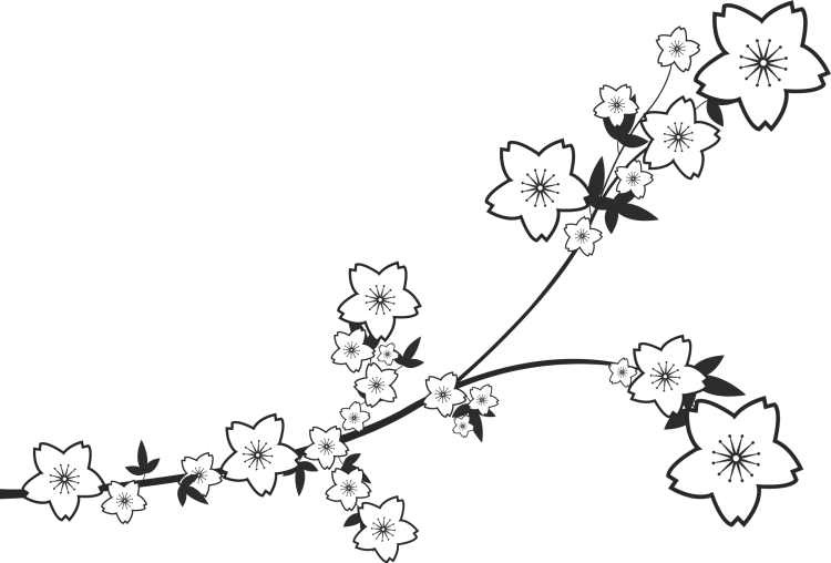 Веточка Сакуры