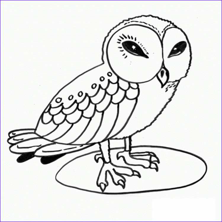 Сова раскраска