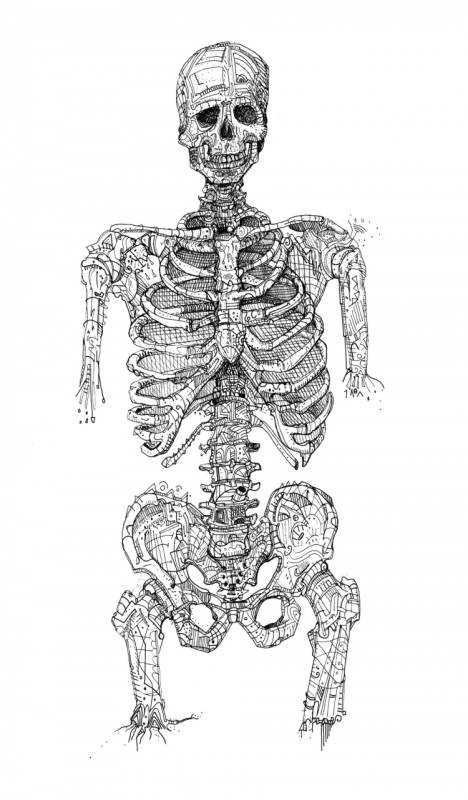 Скелет чертеж