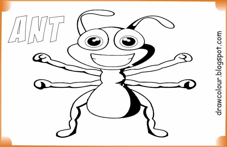 Раскраска голова муравья