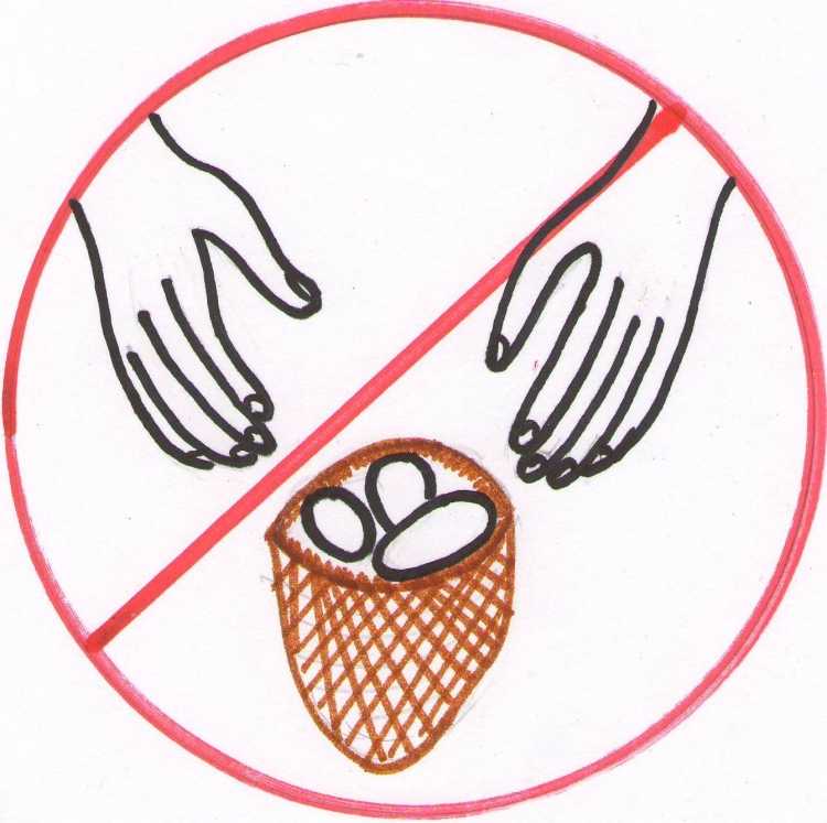 Знак с ежиком