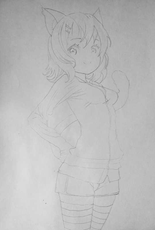 Аниме девочки кошки карандашом