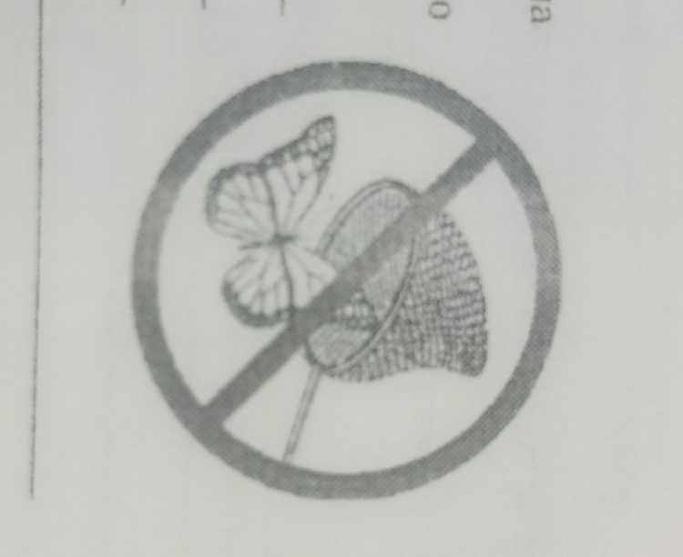 Трафарет переработка