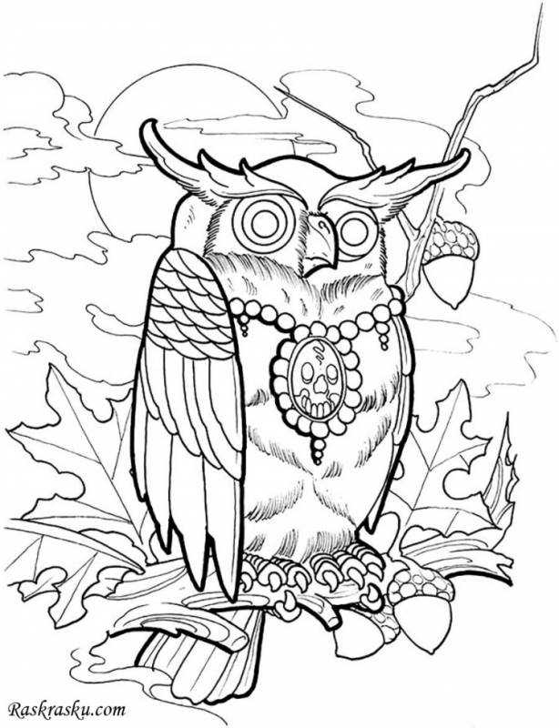 Мудрая Сова раскраска