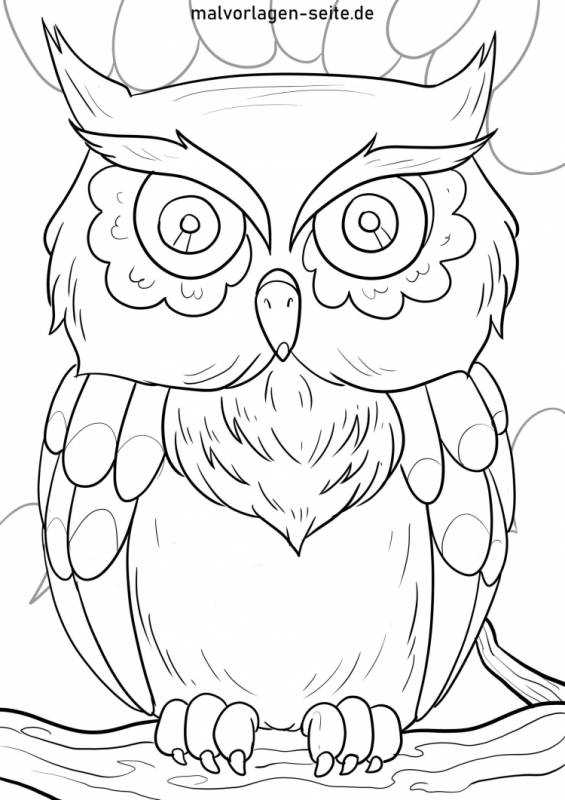 Сова раскраска