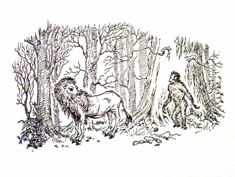 Хроники Нарнии книга