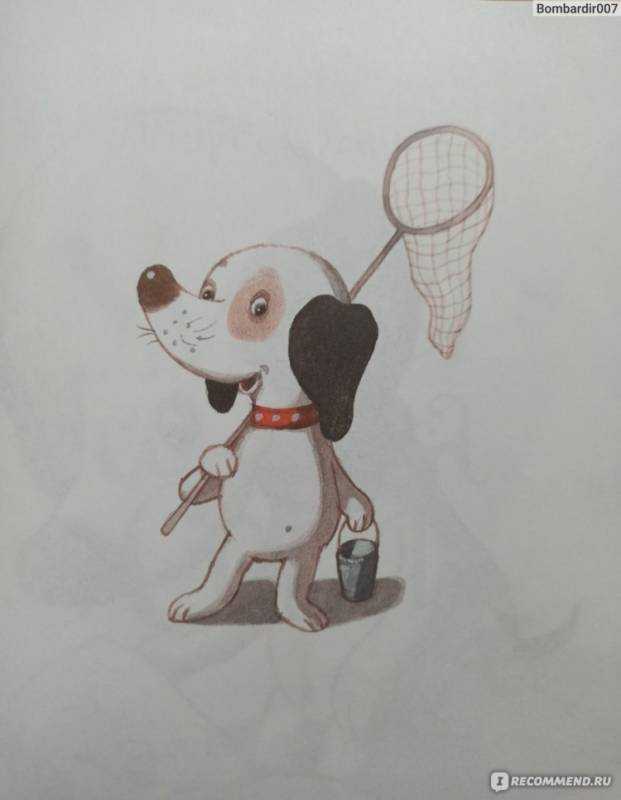 Маленькая собачка Соня