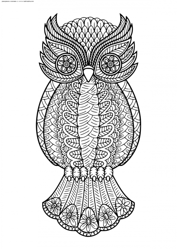 Экслибрис Сова