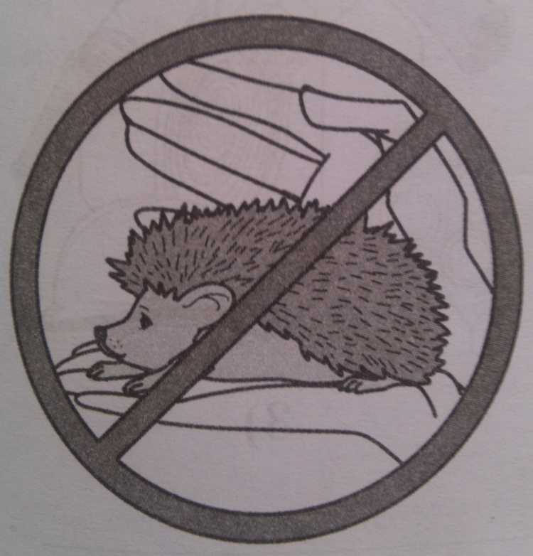 Движение пешеходов запрещено раскраска