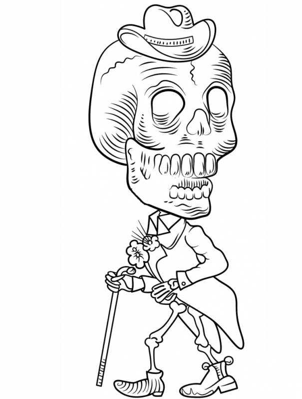 Скелет Flashcard