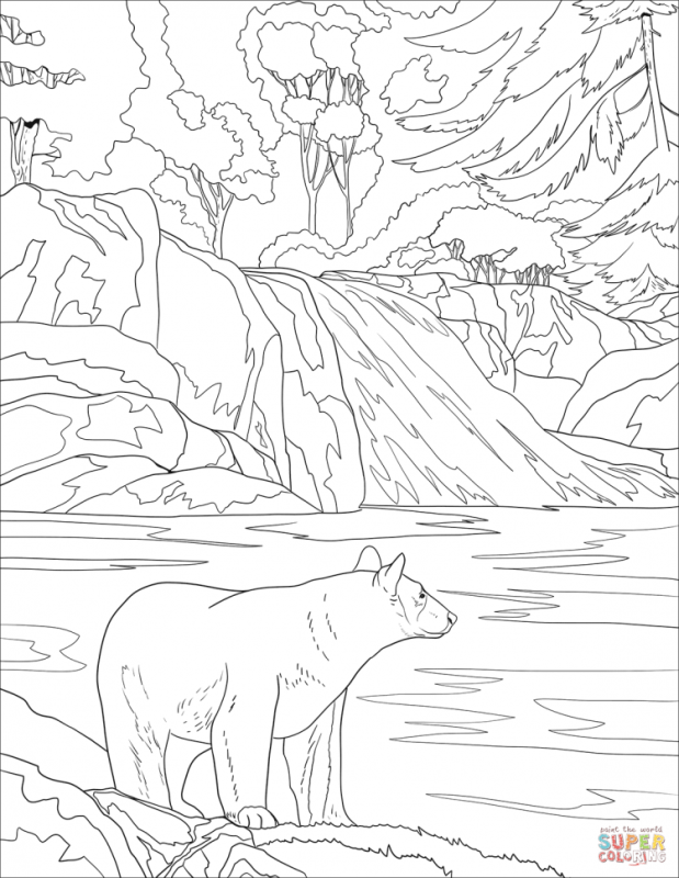 Заповедник раскраска