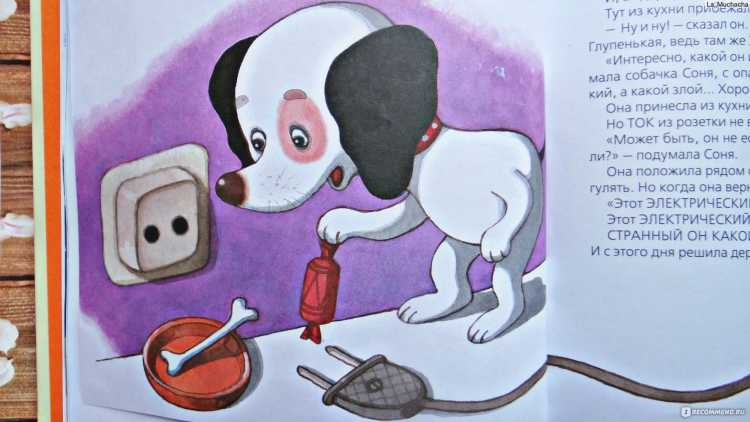 Усачев умная собачка Соня раскраска