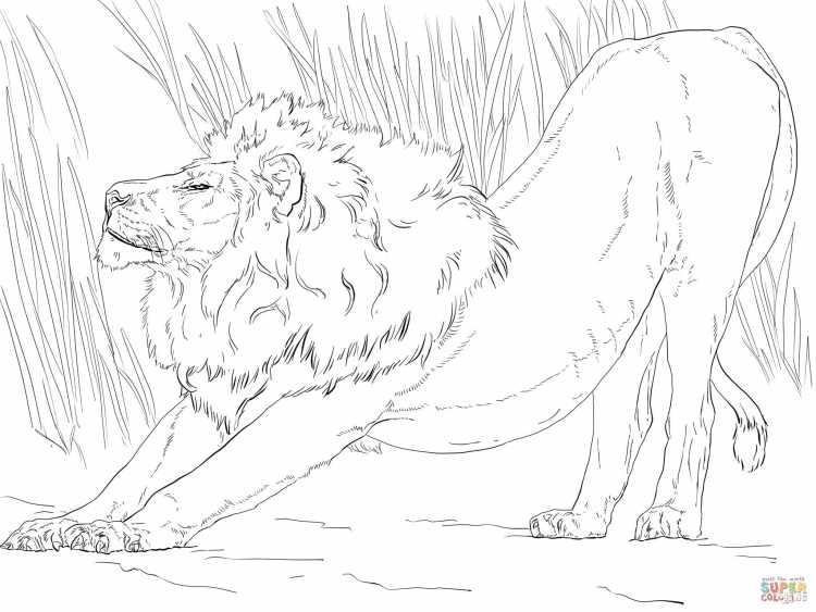 Раскраски Король Лев 2 Кову и Киара