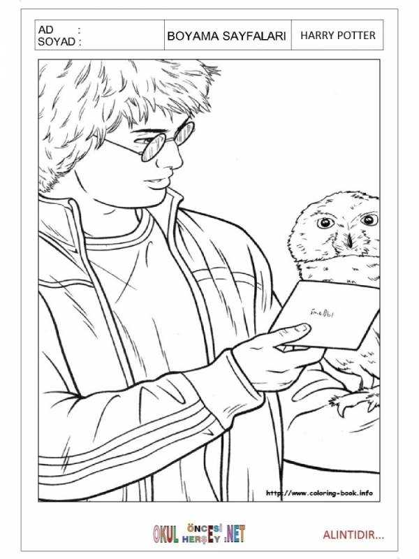 Раскраска гариппотерр