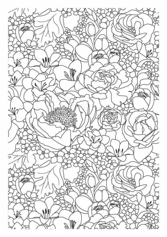 Раскраски цветов красивые антистресс