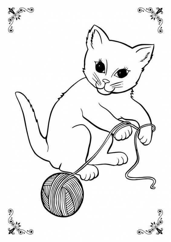 Раскраска милый котик