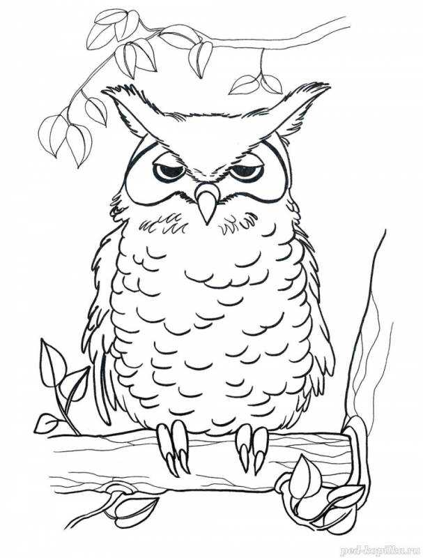 Вытынанки Совушки на ветке