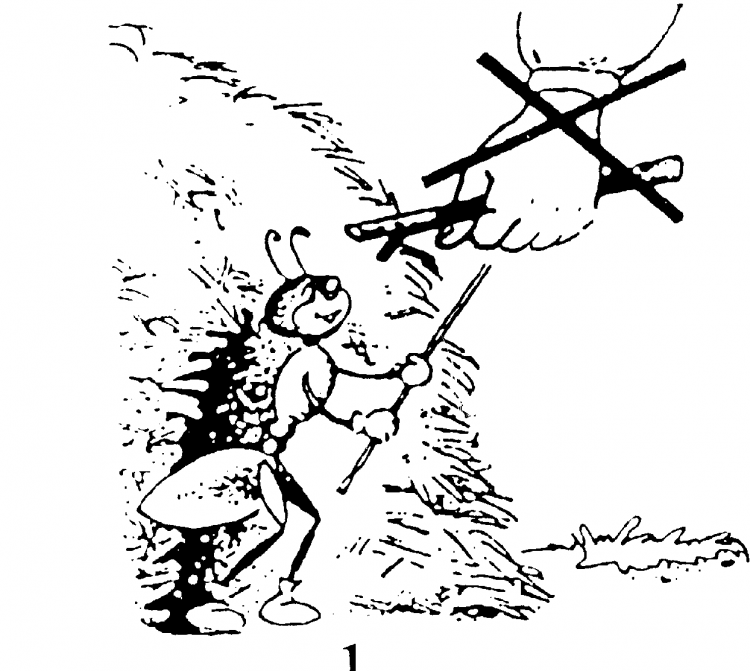 Разрешающие знаки в природе