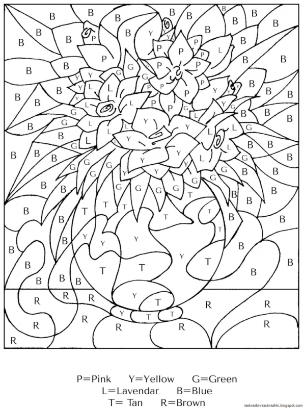 Раскраска по номерам