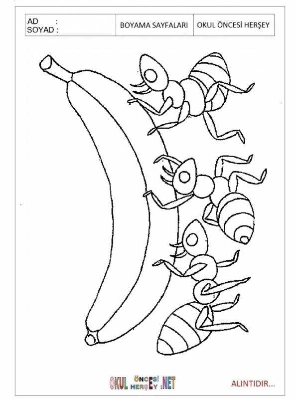 Муравей раскраска для детей