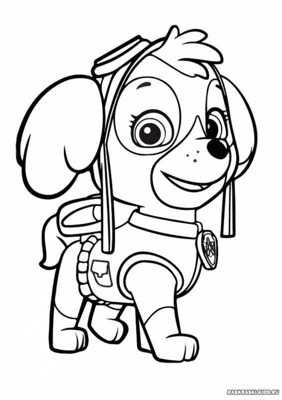 Сказочный патруль раскраска Скай
