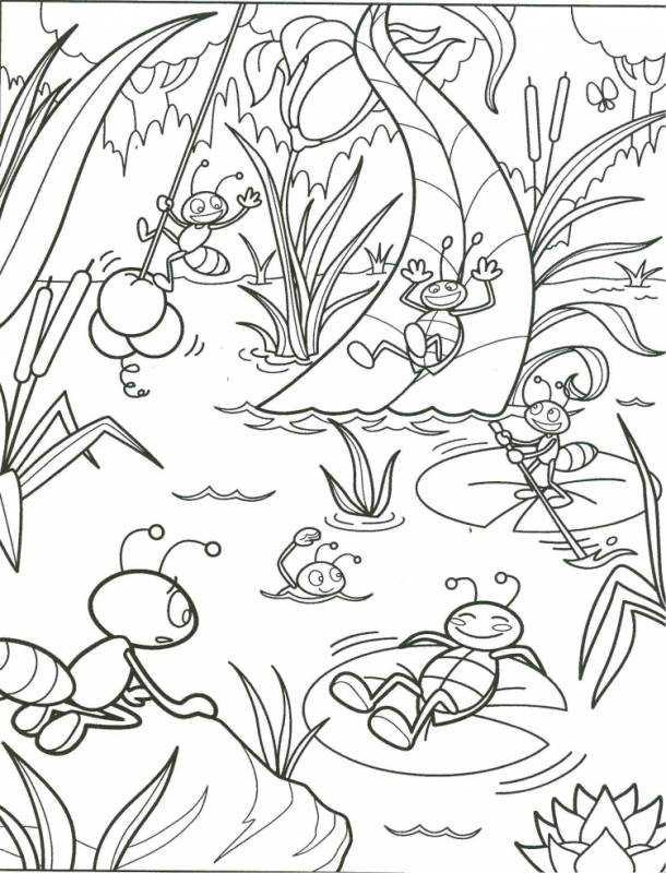 Рисунки по контуру муравья