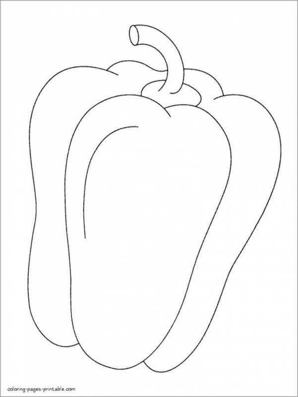 Перец вектор эскиз