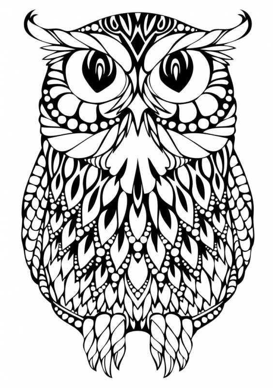 Мудрая Сова раскраска для детей