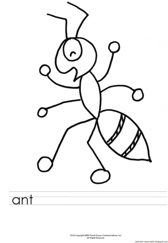 Насекомые. Раскраска