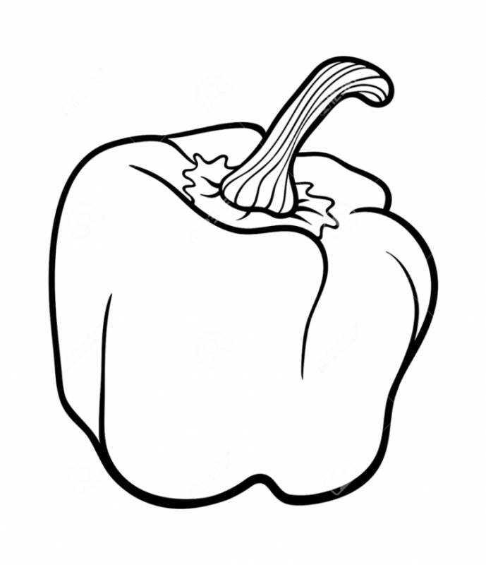 Болгарский перец контур
