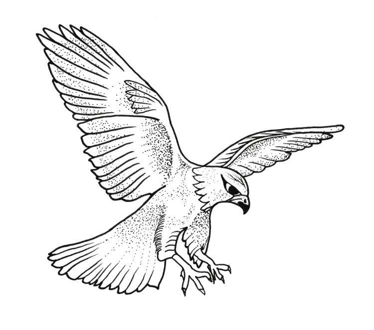 Русские народные сказки Финист Ясный Сокол