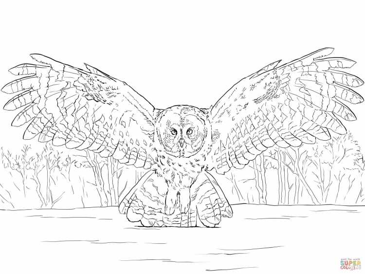 Легенды ночных стражей бородатая неясыть