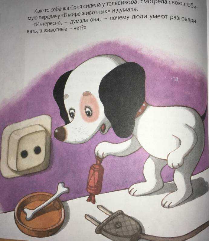 Собака картинка для детей