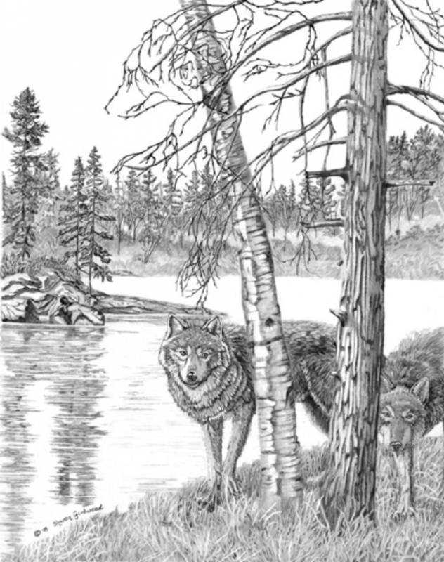 Пейзаж с животными карандашом