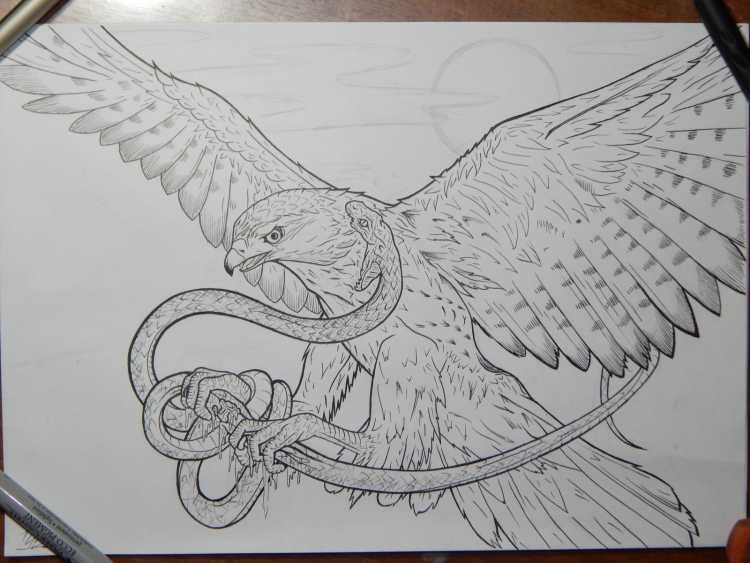 Экслибрис Сокол