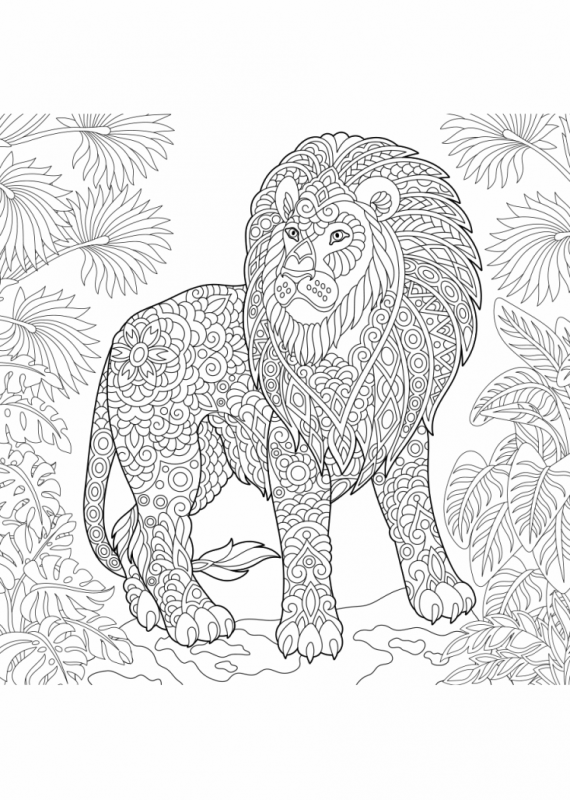 Раскраска гепард