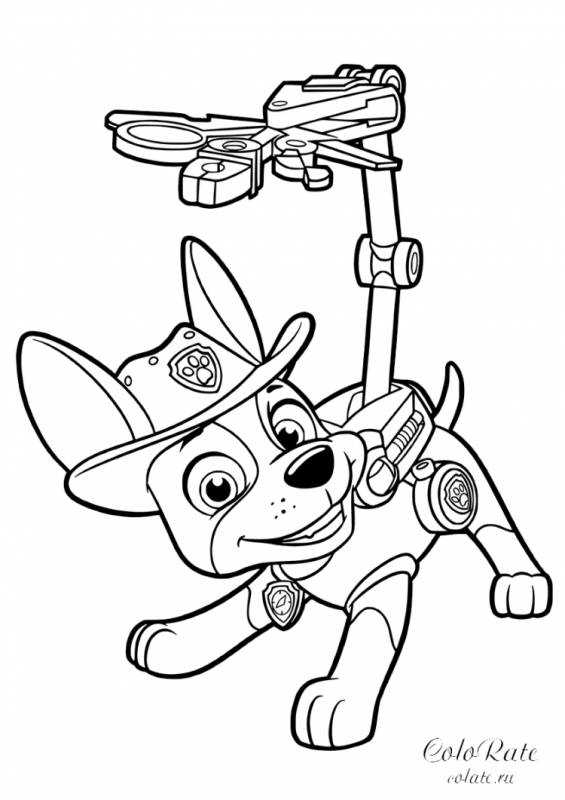 Раскраски Щенячий патруль мегащенки гонщик